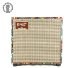 Load image into Gallery viewer, New Benson Nathan Junior Combo Amp Aunt Gertie