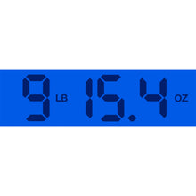 Load image into Gallery viewer, 1977 Ibanez Model 2671 Professional Randy Scruggs Natural Tree of Life