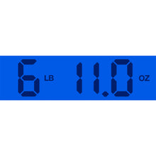 Load image into Gallery viewer, New Gibson Custom Shop Dealer Select 1963 SG Junior Lightning Bar Silver Fox Murphy Lab Light Aged NH