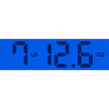 Load image into Gallery viewer, New Gibson Custom Shop Flying V Custom TRG Stinger Antique Silverburst Made 2 Measure #CS501291
