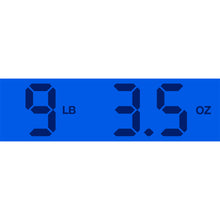 Load image into Gallery viewer, 2000 National Resophonic N-Style
