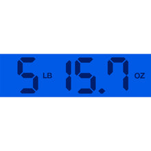 Load image into Gallery viewer, 1956 Danelectro U1 Jade Green
